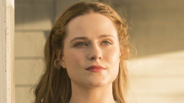 Evan Rachel Wood as Dolores